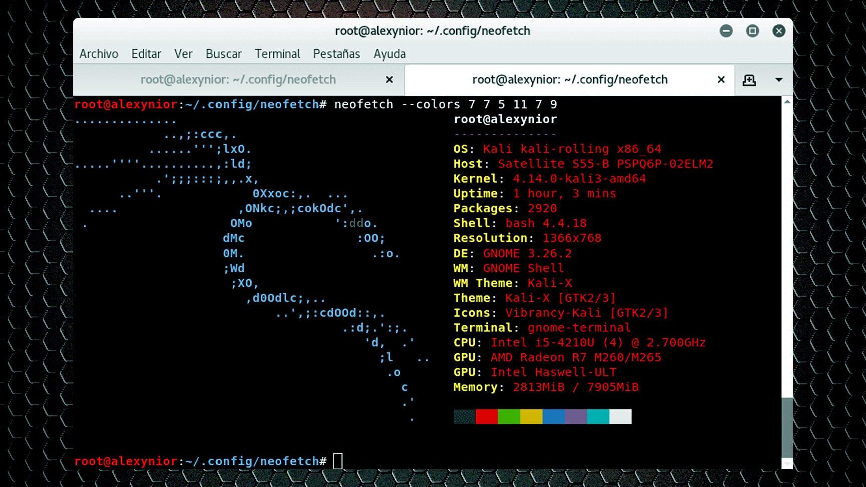 Cómo Actualizar Kali Linux De Forma Fácil Y Rápida: Guía Paso A Paso ...