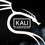 Cómo crear un USB booteable con Kali Linux: Guía paso a paso